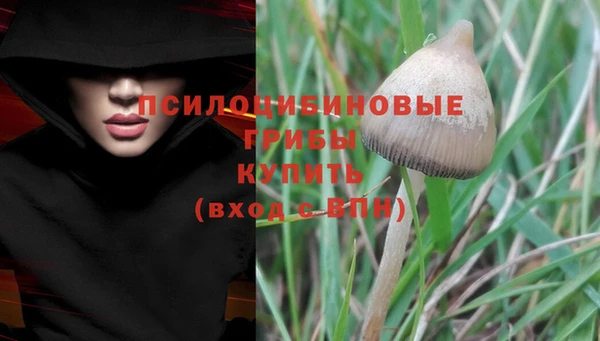 соль ск Вяземский