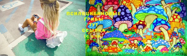тгк Волоколамск