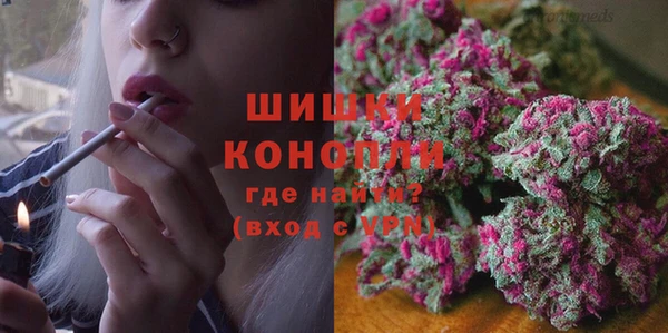 соль ск Вяземский