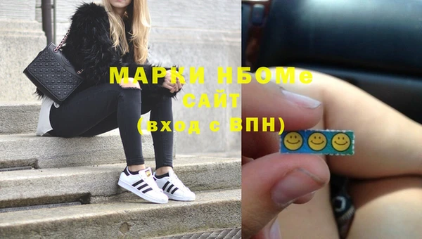 соль ск Вяземский